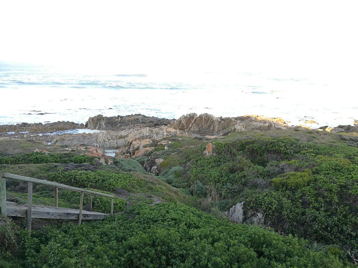 Groenhuisie Oyster Bay Luaran gambar